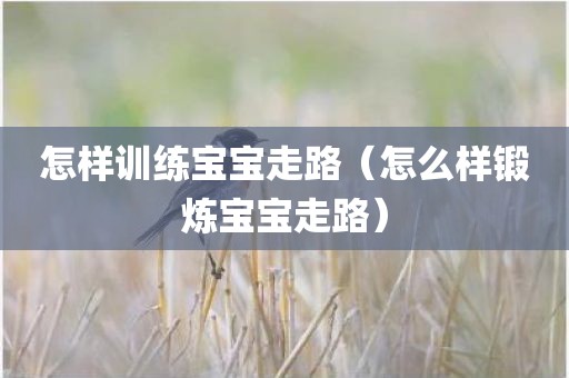 怎样训练宝宝走路（怎么样锻炼宝宝走路）