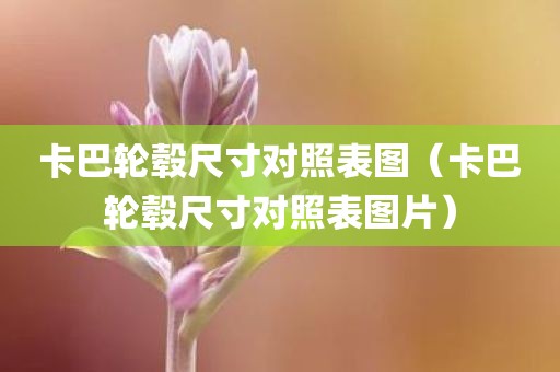卡巴轮毂尺寸对照表图(卡巴轮毂尺寸对照表图片)