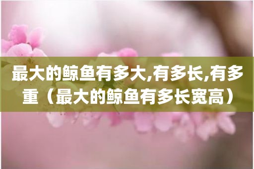 最大的鲸鱼有多大,有多长,有多重（最大的鲸鱼有多长宽高）