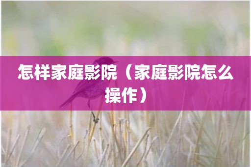 怎样家庭影院（家庭影院怎么操作）