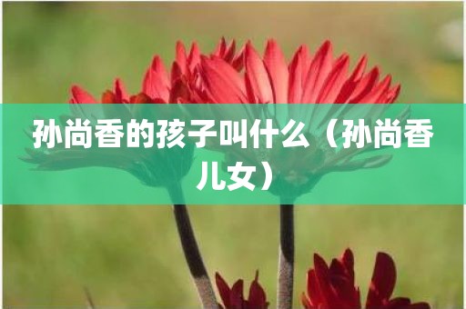 孙尚香的孩子叫什么（孙尚香儿女）