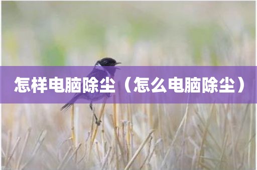 怎样电脑除尘（怎么电脑除尘）