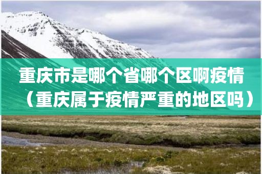 重庆市是哪个省哪个区啊疫情（重庆属于疫情严重的地区吗）