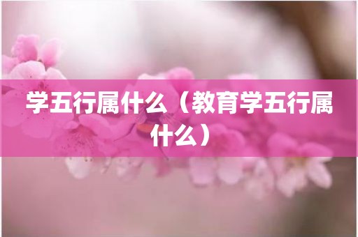 学五行属什么（教育学五行属什么）