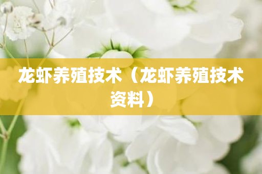 龙虾养殖技术（龙虾养殖技术资料）