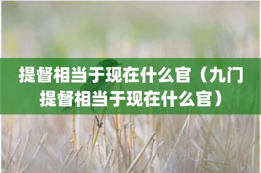 提督相当于现在什么官（九门提督相当于现在什么官）