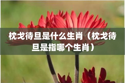 枕戈待旦是什么生肖（枕戈待旦是指哪个生肖）