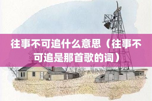 往事不可追什么意思（往事不可追是那首歌的词）