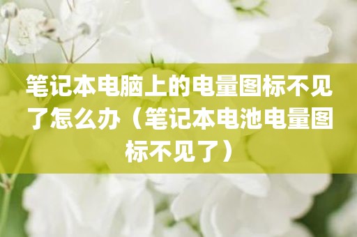 笔记本电脑上的电量图标不见了怎么办（笔记本电池电量图标不见了）