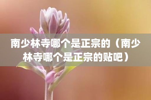 南少林寺哪个是正宗的（南少林寺哪个是正宗的贴吧）