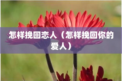 怎样挽回恋人（怎样挽回你的爱人）