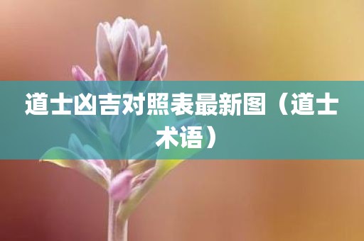 道士凶吉对照表最新图（道士 术语）