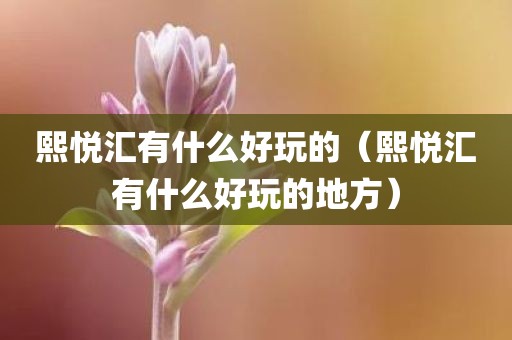 熙悦汇有什么好玩的（熙悦汇有什么好玩的地方）