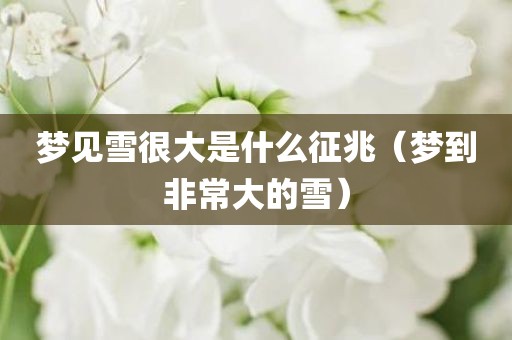 梦见雪很大是什么征兆（梦到非常大的雪）