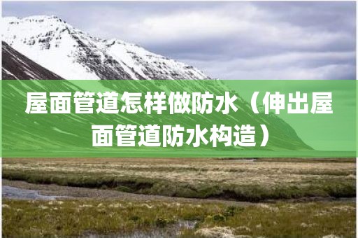 屋面管道怎样做防水（伸出屋面管道防水构造）