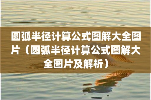圆弧半径计算公式图解大全图片（圆弧半径计算公式图解大全图片及解析）