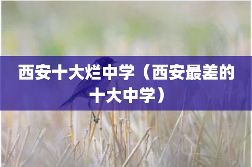 西安十大烂中学（西安最差的十大中学）