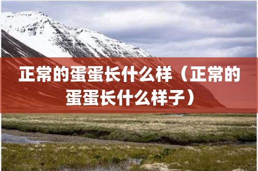 正常的蛋蛋长什么样（正常的蛋蛋长什么样子）