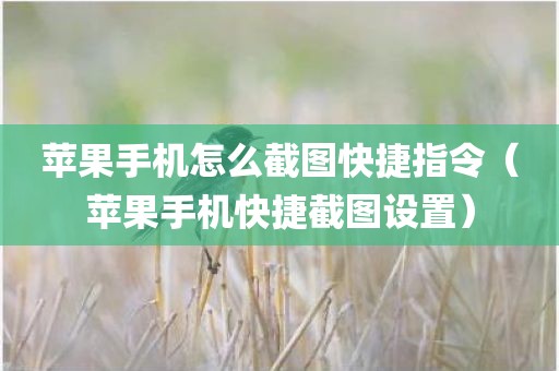 苹果手机怎么截图快捷指令（苹果手机快捷截图设置）