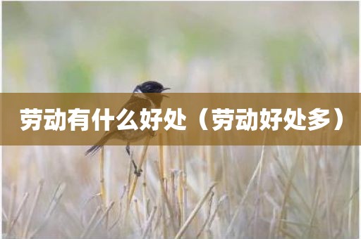 劳动有什么好处(劳动好处多)