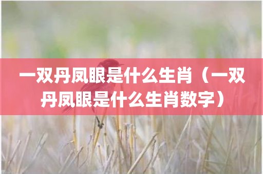 一双丹凤眼是什么生肖（一双丹凤眼是什么生肖数字）