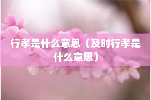 行孝是什么意思（及时行孝是什么意思）