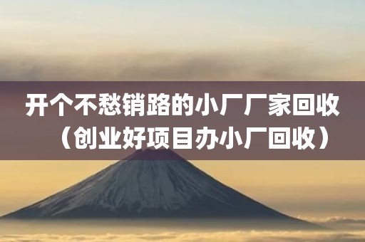 开个不愁销路的小厂厂家回收（创业好项目办小厂回收）
