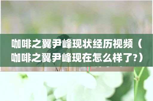 咖啡之翼尹峰现状经历视频（咖啡之翼尹峰现在怎么样了?）