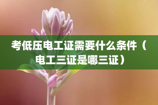 考低压电工证需要什么条件（电工三证是哪三证）