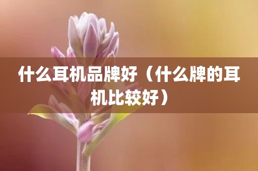 什么耳机品牌好（什么牌的耳机比较好）