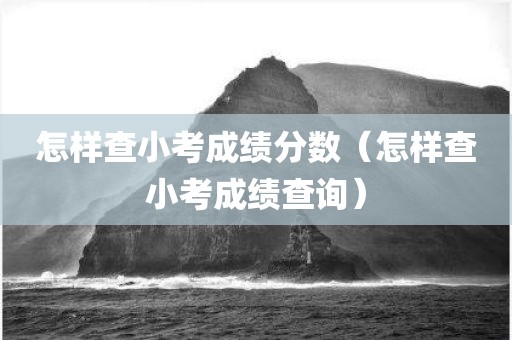 怎样查小考成绩分数（怎样查小考成绩查询）