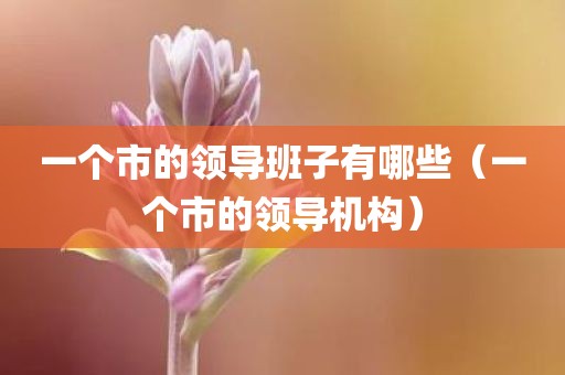 一个市的领导班子有哪些（一个市的领导机构）