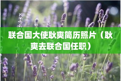 联合国大使耿爽简历照片（耿爽去联合国任职）