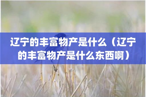 辽宁的丰富物产是什么（辽宁的丰富物产是什么东西啊）