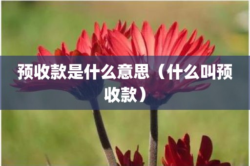 预收款是什么意思（什么叫预收款）