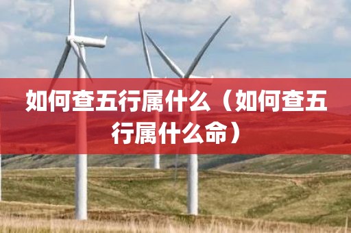 如何查五行属什么（如何查五行属什么命）