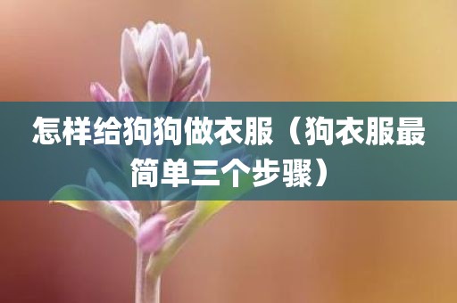 怎样给狗狗做衣服（狗衣服最简单三个步骤）