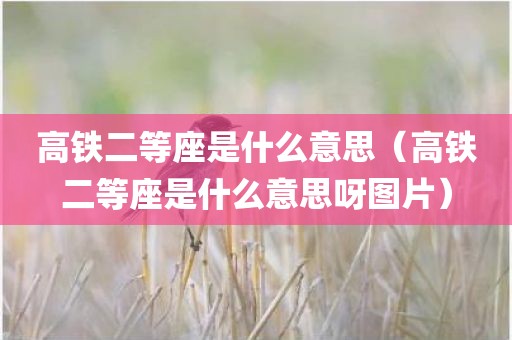 高铁二等座是什么意思（高铁二等座是什么意思呀图片）