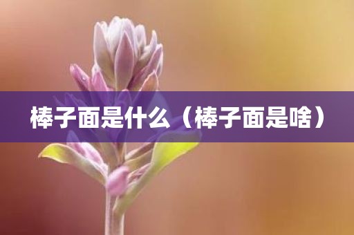 棒子面是什么(棒子面是啥)