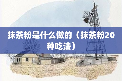 抹茶粉是什么做的（抹茶粉20种吃法）