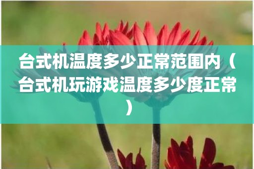 台式机温度多少正常范围内(台式机玩游戏温度多少度正常)