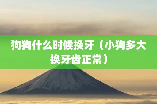 狗狗什么时候换牙（小狗多大换牙齿正常）