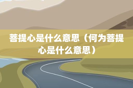 菩提心是什么意思（何为菩提心是什么意思）