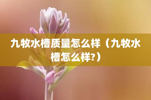 九牧水槽质量怎么样（九牧水槽怎么样?）