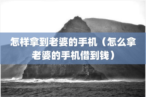 怎样拿到老婆的手机（怎么拿老婆的手机借到钱）