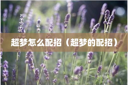 超梦怎么配招（超梦的配招）