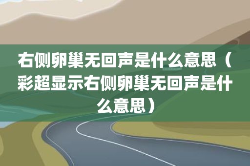 右侧卵巢无回声是什么意思（彩超显示右侧卵巢无回声是什么意思）