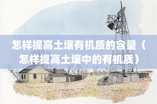怎样提高土壤有机质的含量（怎样提高土壤中的有机质）