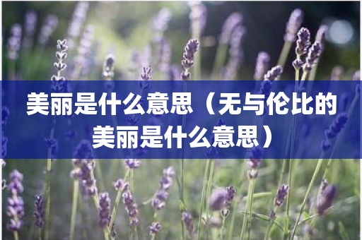 美丽是什么意思（无与伦比的美丽是什么意思）
