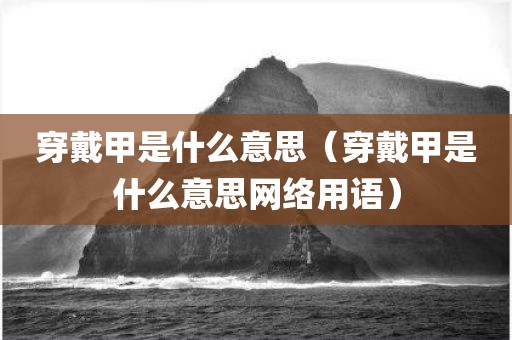 穿戴甲是什么意思（穿戴甲是什么意思网络用语）